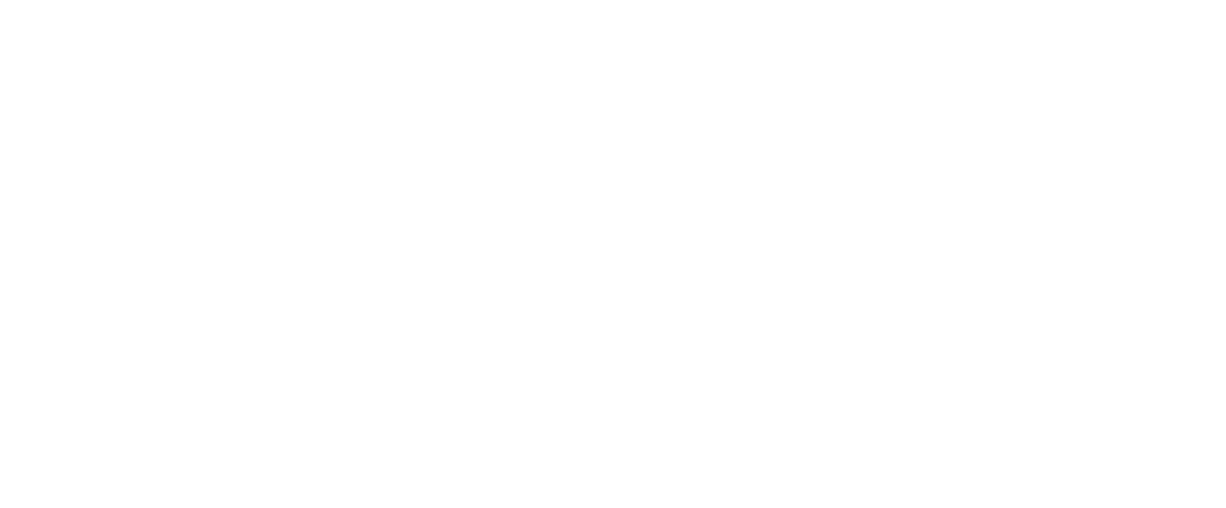 Top 12 Shoppego Brands